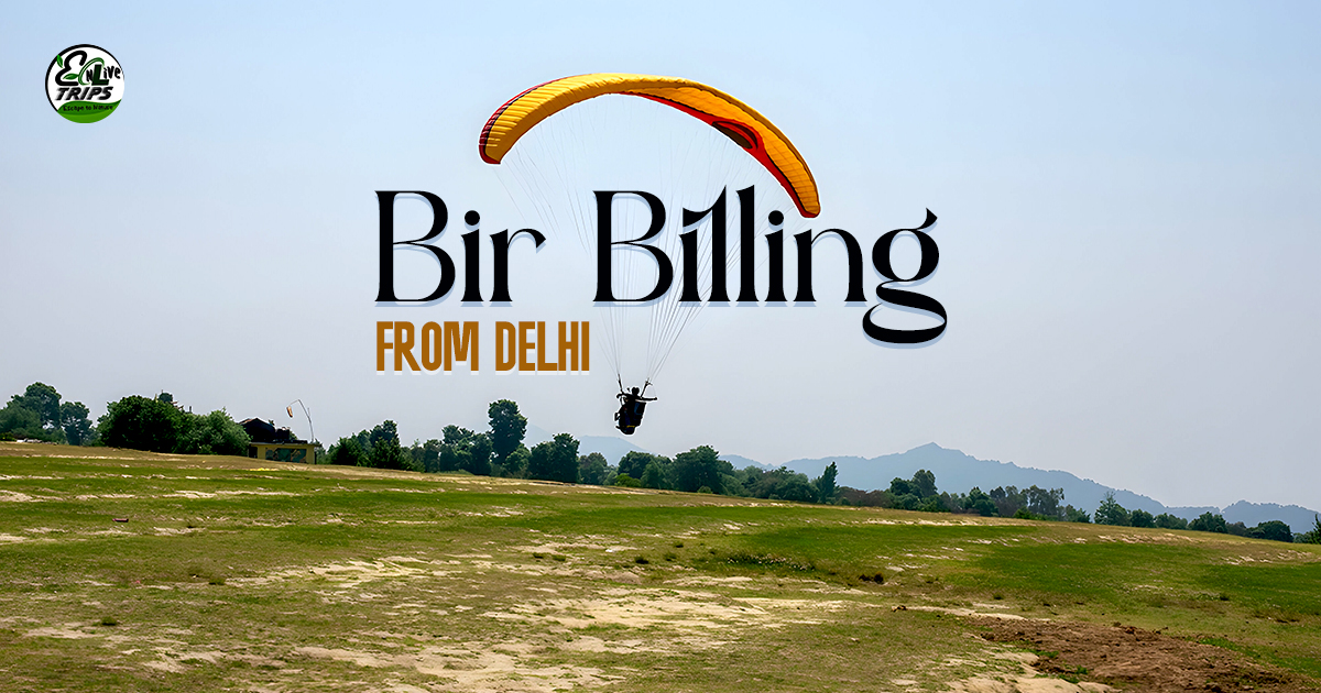 Best Time to Visit Bir Billing | Things to Do Paragliding, Trekking, Camping
